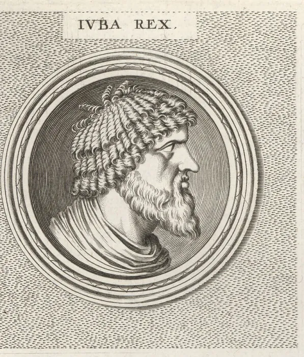 Framed Print : Juba I of Numidia, c. 85-46 BC Framed Print : Juba I of Numidia, c. 85-46 BC