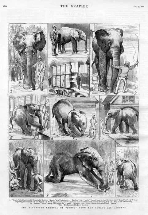 Framed Print : Jumbo the elephant: his attempted removal Framed Print : Jumbo the elephant: his attempted removal