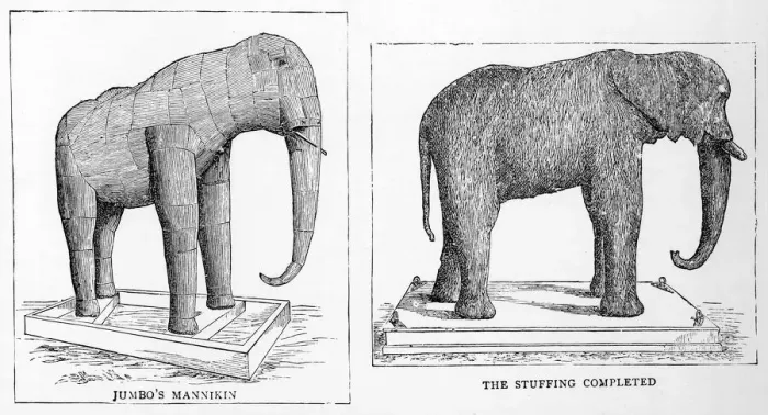 Framed Print : Jumbo the elephant stuffed Framed Print : Jumbo the elephant stuffed