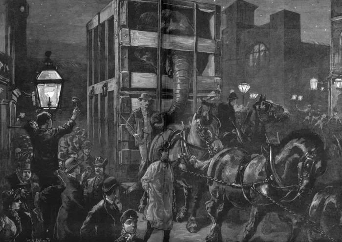 Framed Print : Jumbo the elephant: on the way to St Katherines docks