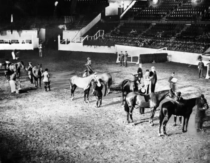 Framed Print : Show Jumping Framed Print : Show Jumping