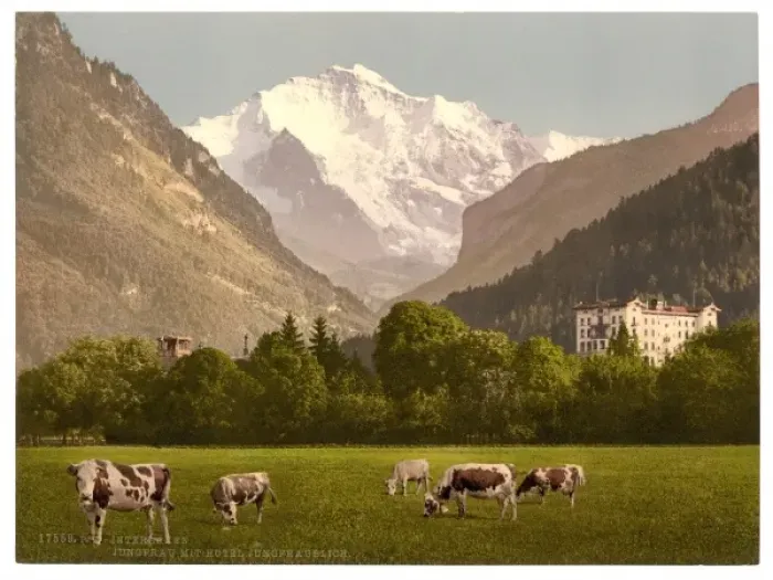 Framed Print : Jungfrau and Jungfraublick Hotel, Bernese Hotel, Switzerland Framed Print : Jungfrau and Jungfraublick Hotel, Bernese Hotel, Switzerland