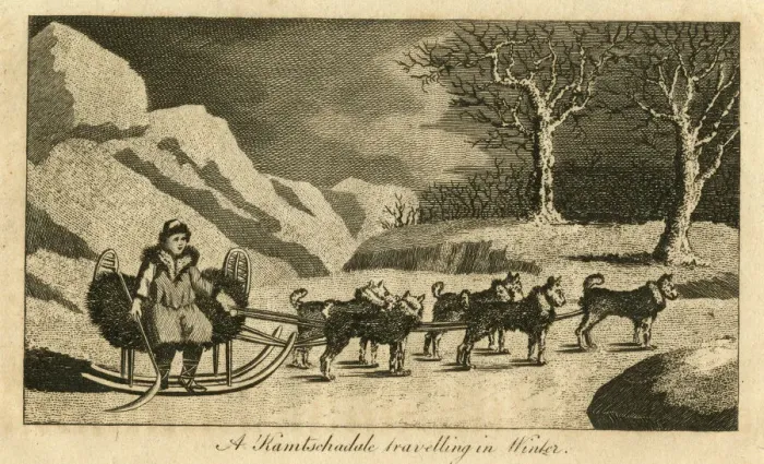Framed Print : A Kamtschadale travelling in Winter Framed Print : A Kamtschadale travelling in Winter