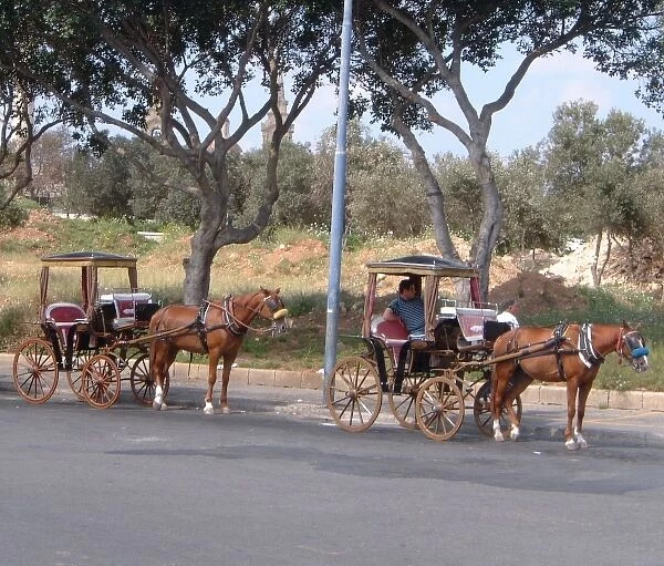 Karrozin Carriages  /  Malta