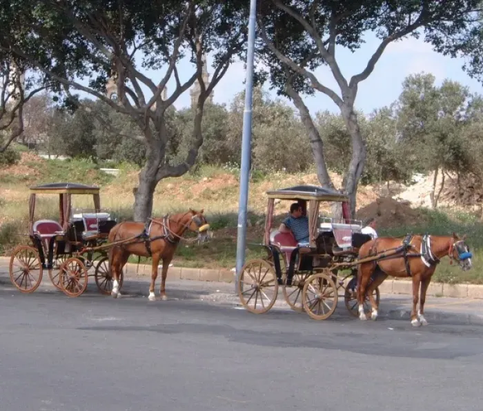 Framed Print : Karrozin Carriages / Malta Framed Print : Karrozin Carriages / Malta