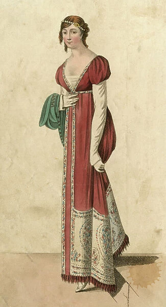 Kashmir Shawl Dress 1810