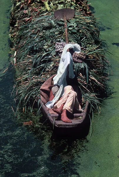 Kashmir, Srinagar. Boatman asleep in shade on back of boat