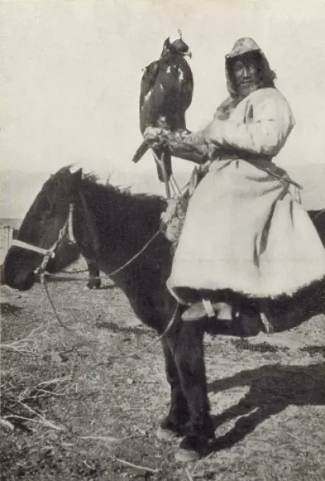 Framed Print : Kazakh Falconer in Mongolia Framed Print : Kazakh Falconer in Mongolia