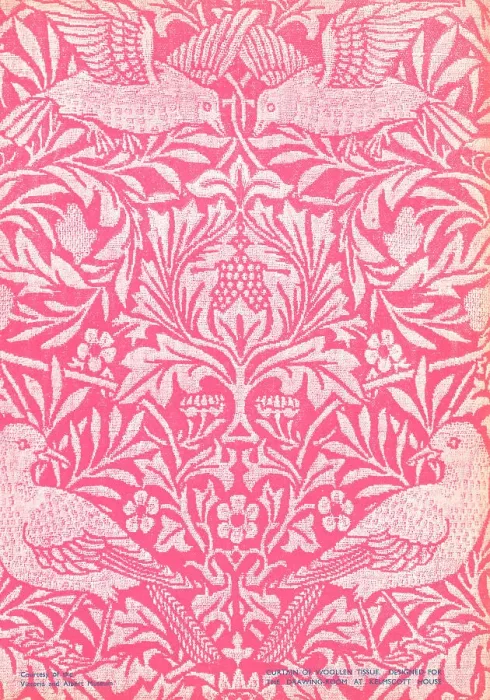 Framed Print : Kelmscott House Curtain Of Woollen Tissue Framed Print : Kelmscott House Curtain Of Woollen Tissue