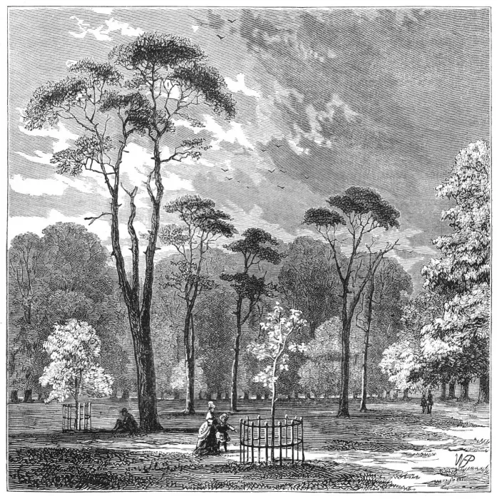 Framed Print : Kensington Gardens Framed Print : Kensington Gardens