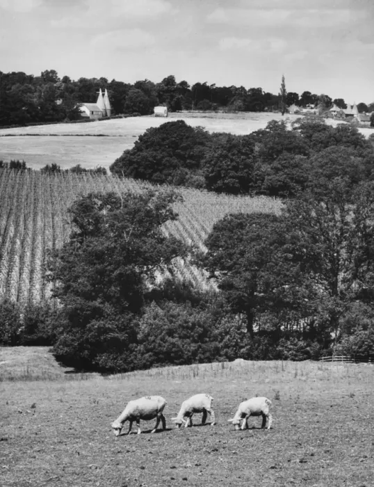 Framed Print : Kentish Countryside Framed Print : Kentish Countryside