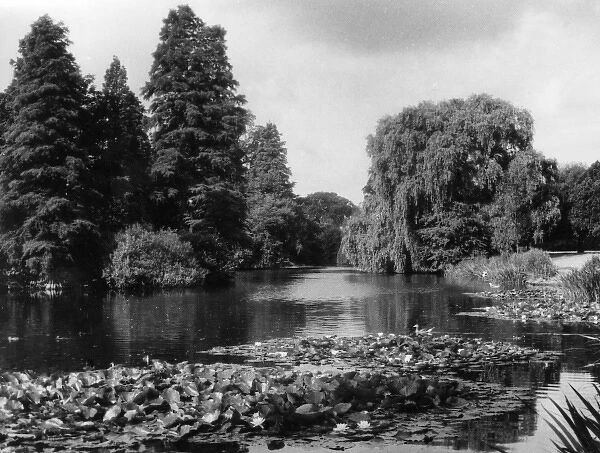 Kew Gardens Lake