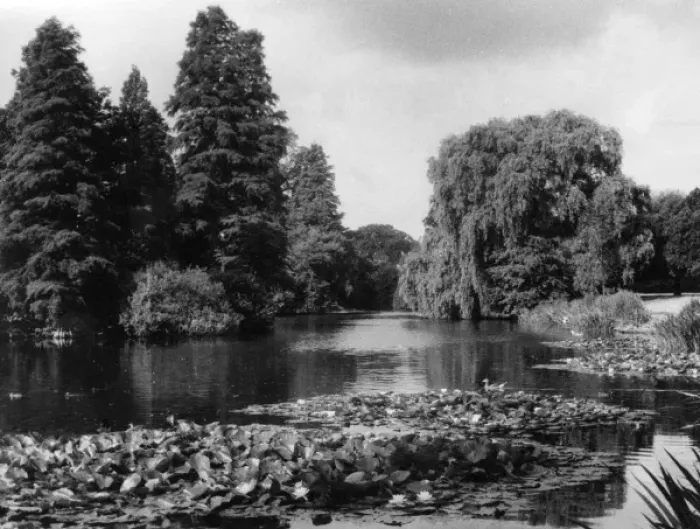 Framed Print : Kew Gardens Lake Framed Print : Kew Gardens Lake