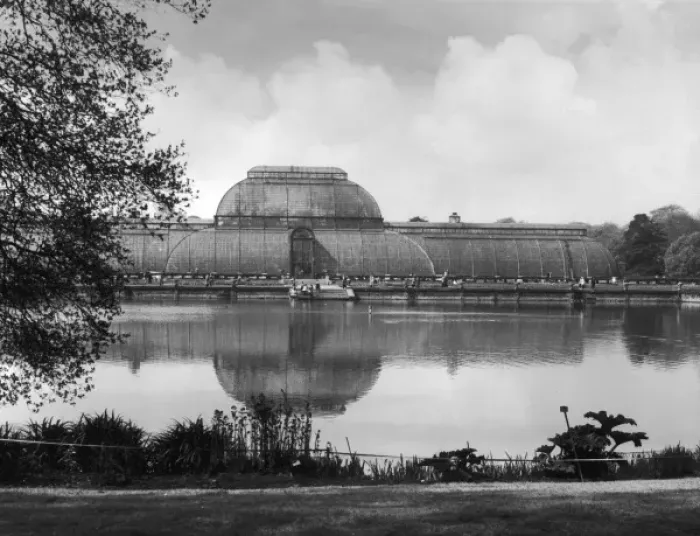 Framed Print : Kew Gardens Palm House Framed Print : Kew Gardens Palm House