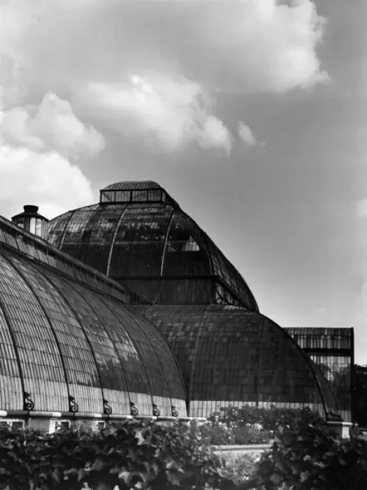 Framed Print : Kew Gardens Palm House Framed Print : Kew Gardens Palm House