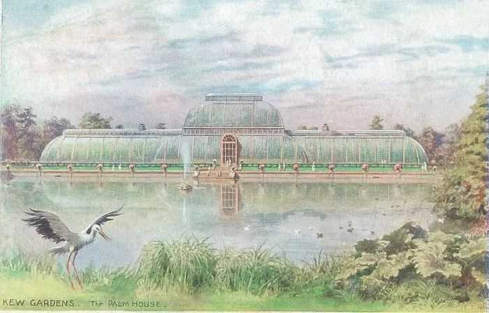 Framed Print : Kew Gardens, The Palm House, London Framed Print : Kew Gardens, The Palm House, London