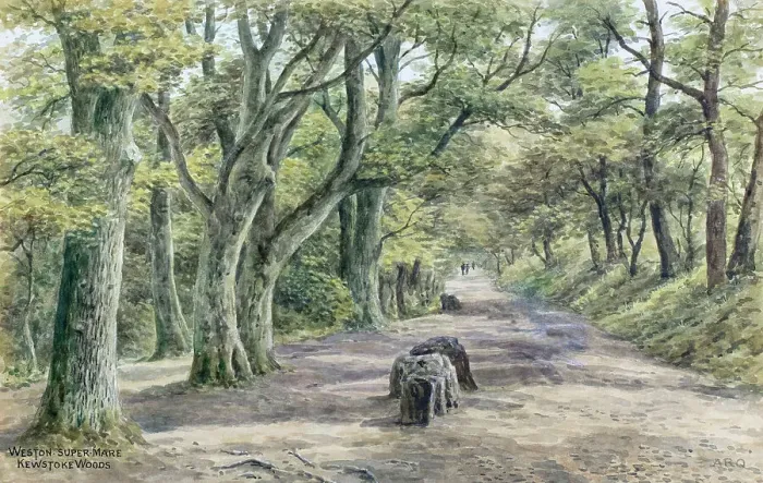 Framed Print : Kewstoke Woods, Weston-super-Mare, Somerset Framed Print : Kewstoke Woods, Weston-super-Mare, Somerset