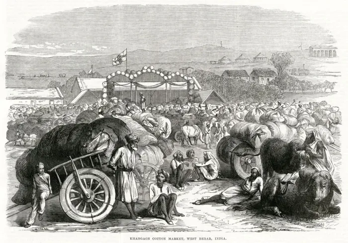 Framed Print : Khangaon cotton market, India 1870 Framed Print : Khangaon cotton market, India 1870