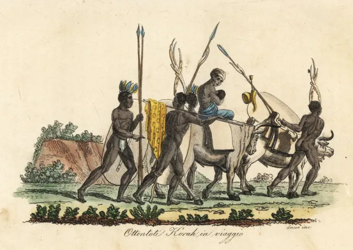 Framed Print : Khoikhoi people of Korah travelling with their cattle Framed Print : Khoikhoi people of Korah travelling with their cattle