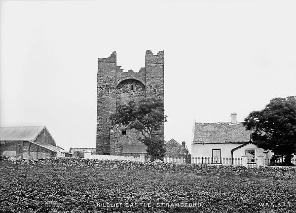 Kilclief Castle, Strangford
