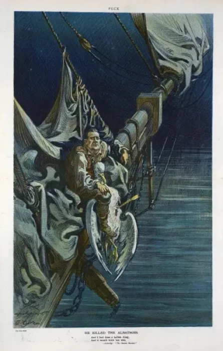 Framed Print : He killed the albatross Framed Print : He killed the albatross