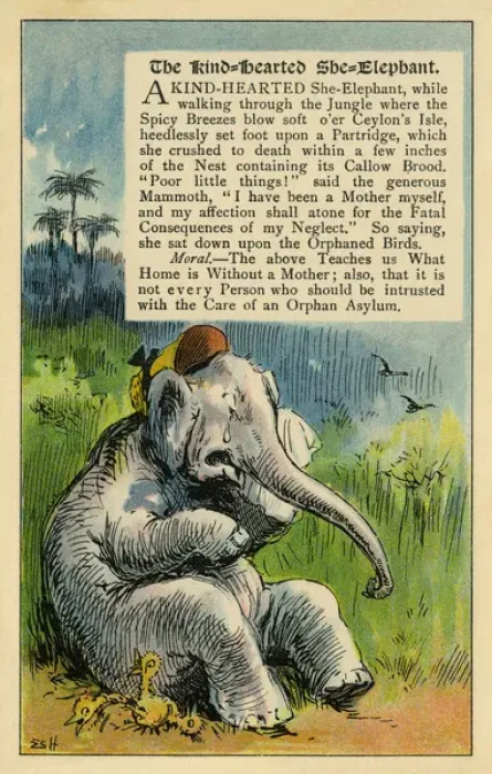 Framed Print : The kind-hearted she elephant Framed Print : The kind-hearted she elephant