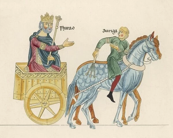 King in Chariot