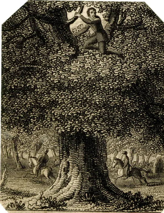 Framed Print : King Charles II in the oak - 18th century engraving Framed Print : King Charles II in the oak - 18th century engraving