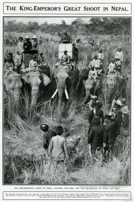 Framed Print : King Emperors great shoot in Nepal 1911 Framed Print : King Emperors great shoot in Nepal 1911