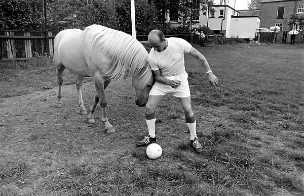 King, the football-playing stallion