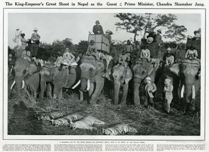 Framed Print : King George V shooting expedition 1911 Framed Print : King George V shooting expedition 1911