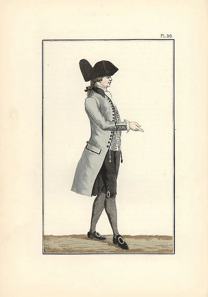 King Louis XVI in grey-white half-mourning clothes