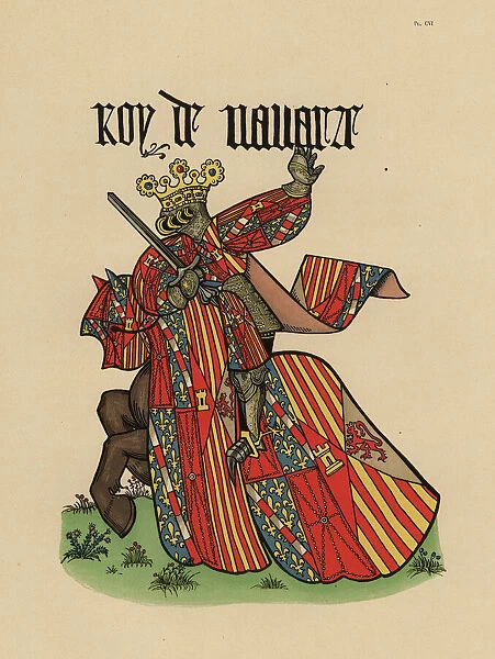 King of Navarre, roi de Navarre