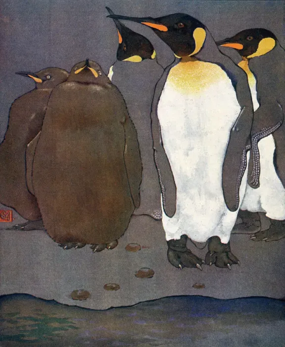 Framed Print : KING PENGUINS Framed Print : KING PENGUINS