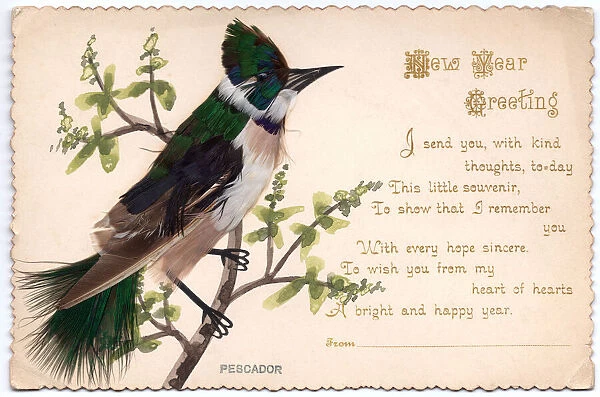 Kingfisher on a New Year card
