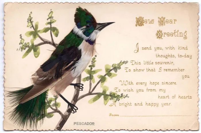 Framed Print : Kingfisher on a New Year card Framed Print : Kingfisher on a New Year card