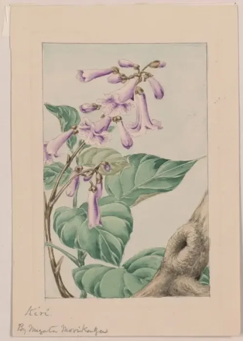 Framed Print : Kiri branch with flowers and leaves Framed Print : Kiri branch with flowers and leaves