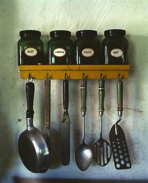 Kitchen utensils hanging below a spice rack with mint, caraw