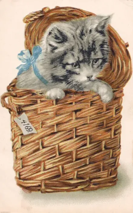 Framed Print : Kitten in a basket Framed Print : Kitten in a basket