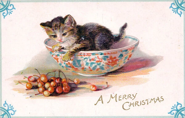 Kitten in a bowl on a Christmas postcard