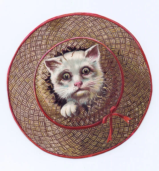 Kitten in a broken basket on a cutout greetings card