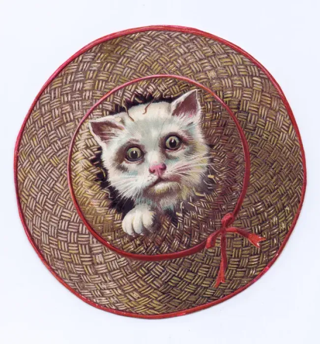 Framed Print : Kitten in a broken basket on a cutout greetings card Framed Print : Kitten in a broken basket on a cutout greetings card