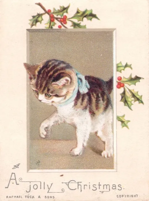 Framed Print : Kitten on a Christmas card Framed Print : Kitten on a Christmas card
