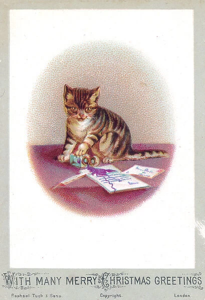 Kitten on a Christmas card