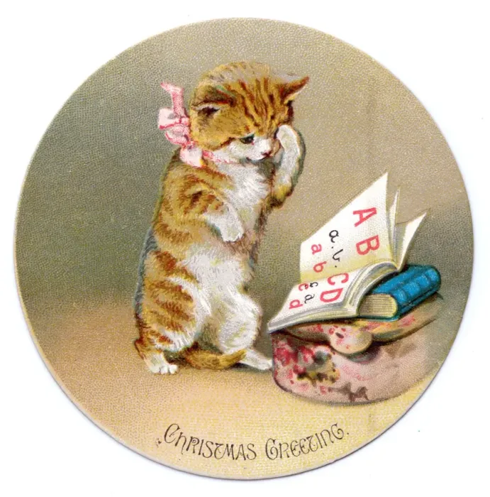 Framed Print : Kitten on a circular Christmas card Framed Print : Kitten on a circular Christmas card