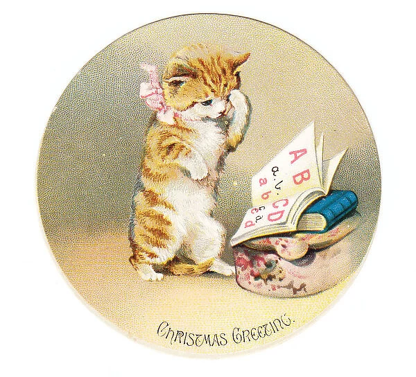 Kitten on a circular Christmas card