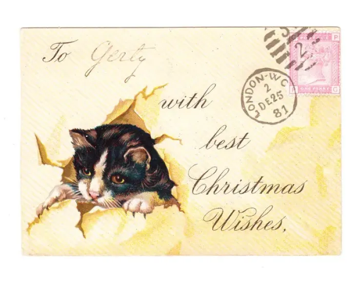 Framed Print : Kitten with envelope on a Christmas card Framed Print : Kitten with envelope on a Christmas card