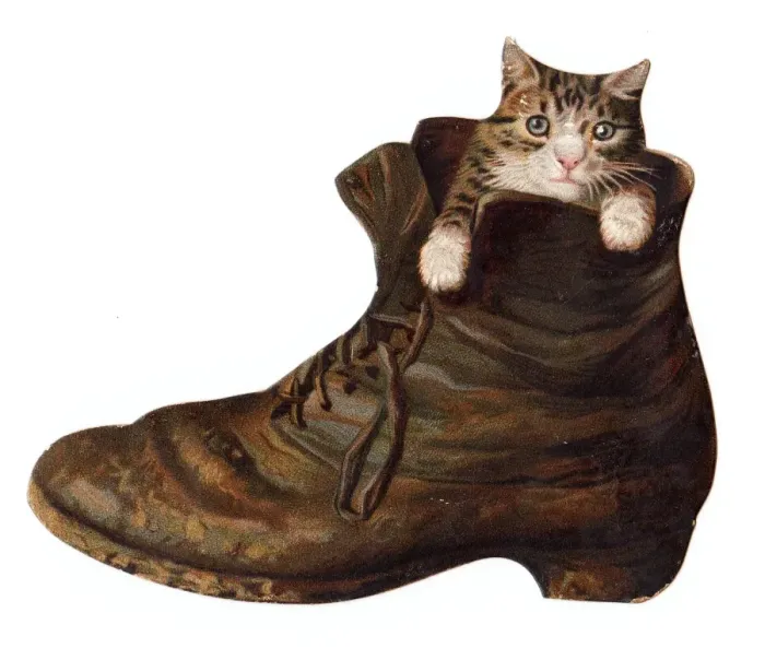 Framed Print : Kitten inside an old boot on a greetings card Framed Print : Kitten inside an old boot on a greetings card