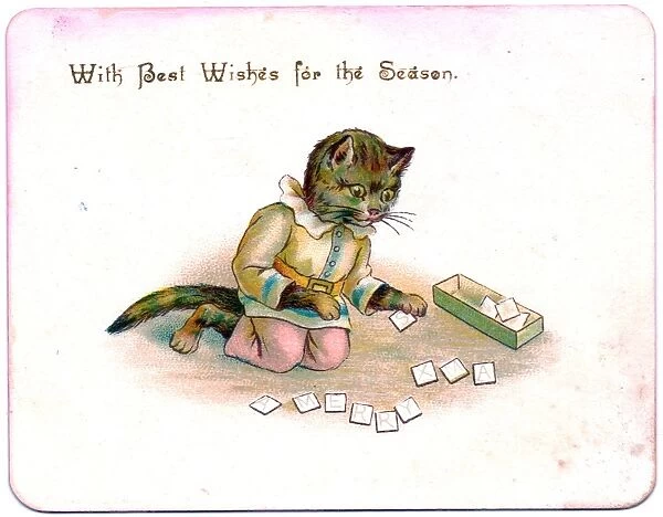 Kitten with letter cards on a Christmas card