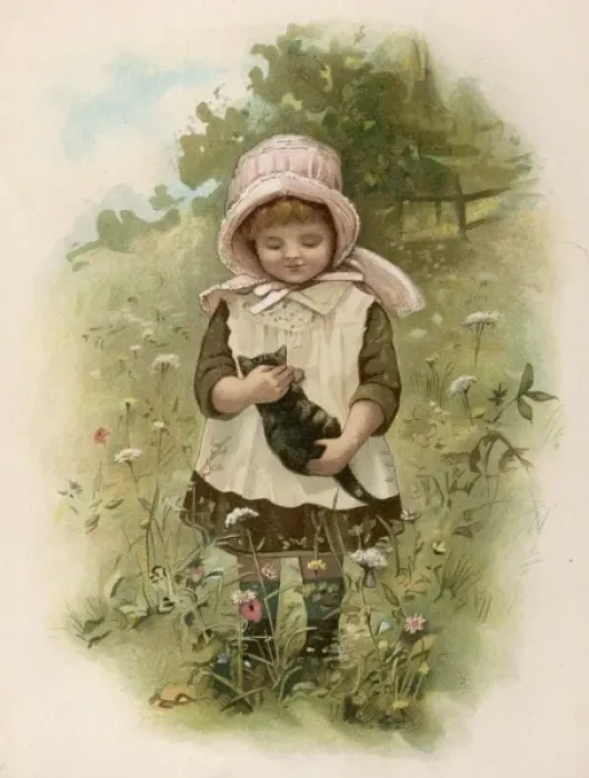 Framed Print : Kitten in a Meadow Framed Print : Kitten in a Meadow